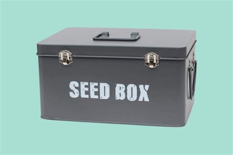 electric seed box|are seedboxes worth it.